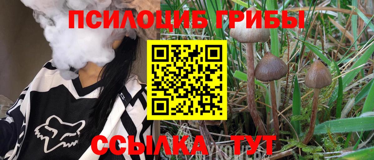 Галлюциногенные грибы Cubensis  закладки  Мценск  Псилоцибиновые грибы MAGIC MUSHROOMS  Вход с VPN 